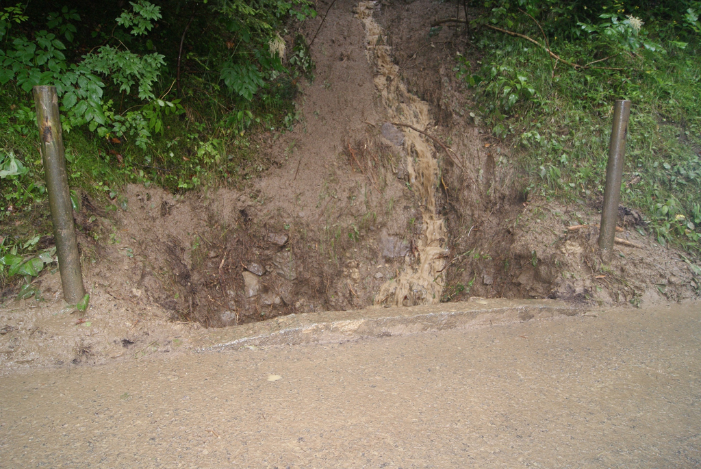 DSC06881.JPG