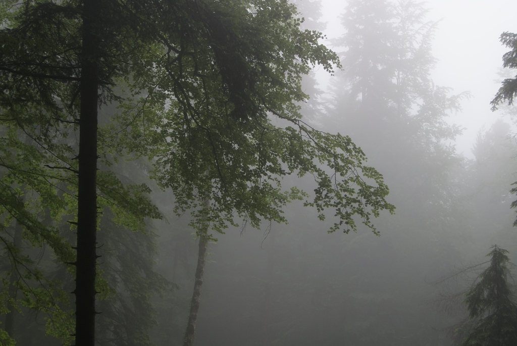 DSC06883.JPG