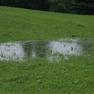 DSC06882.JPG
