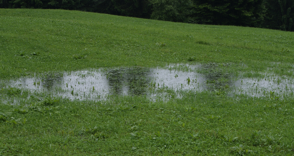 DSC06882.JPG