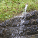DSC06885.JPG
