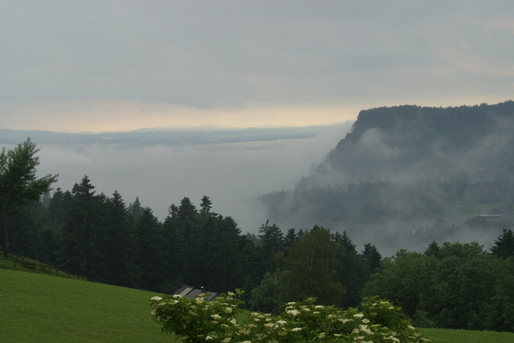 DSC06891.JPG