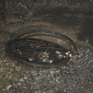 DSC06876.JPG