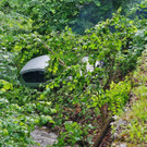 20062016_VU Neusiedl _4_.jpg