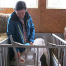 IMG_1667.jpg