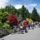 Radausflug des Obst- und Gartenbauvereins Hard