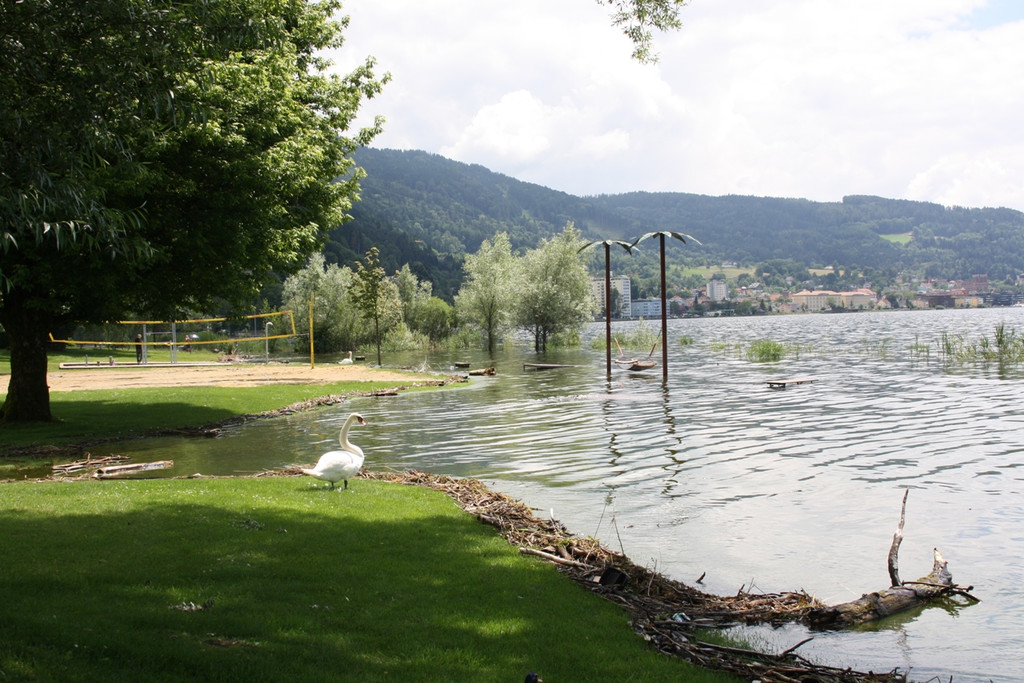 Hochwasser am See Strandbad Juni 2016 _10_.JPG