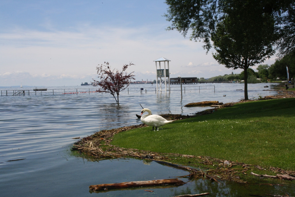 Hochwasser am See Strandbad Juni 2016 _12_.JPG