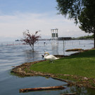 Hochwasser am See Strandbad Juni 2016 _12_.JPG
