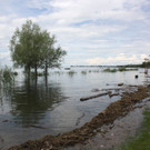 Hochwasser am See Strandbad Juni 2016 _15_.JPG