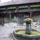 21_JPG-1277122519
