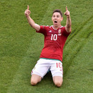 file6q9zgw1auupvvzo29s1.jpg