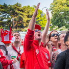 Oesterreich - Island - Rathausplatz - 22_06_2016-31.JPG