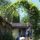 IMG_9521.JPG