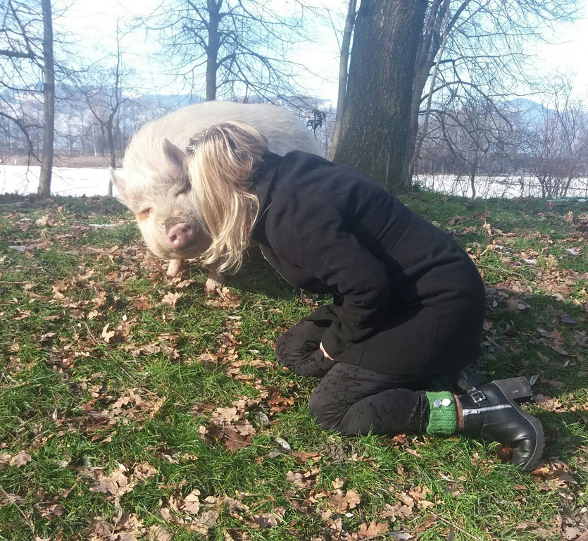 IMG-20160610-WA0004.jpg