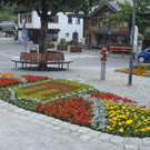 _DSC0553_JPG-1277122029