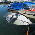 101___06_ IMG_0312.JPG