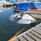 101___06_ IMG_0318.JPG