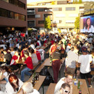 Flax-EM-PublicViewing29 _Copy__jpg-1466751596.jpg