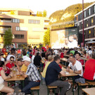 Flax-EM-PublicViewing62 _Copy__jpg-1466751648.jpg