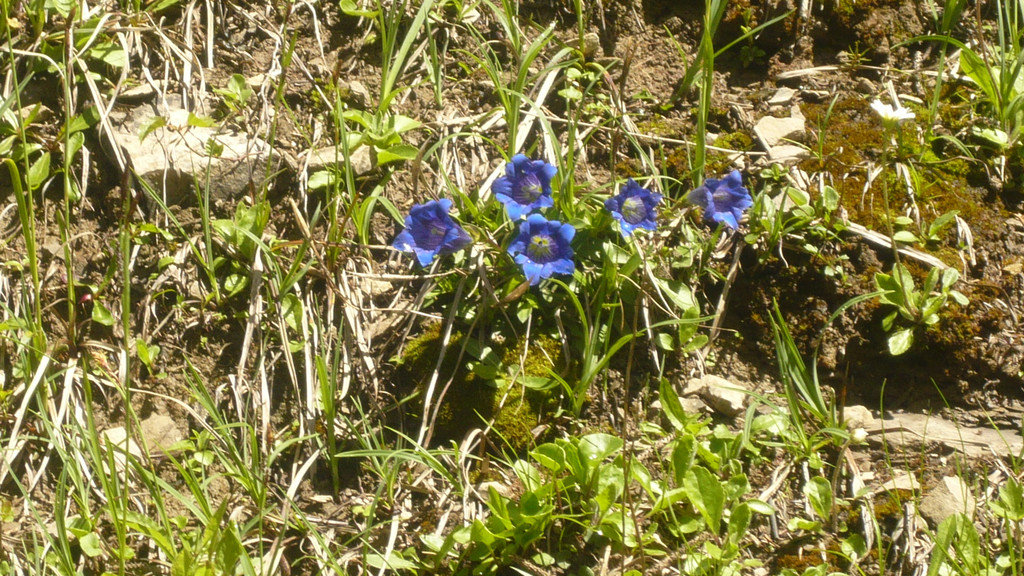 Ausflug in den Bregenzerwald 22_06_2016  _  _ _16_.JPG