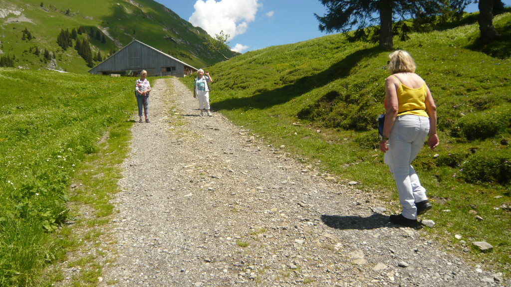 Ausflug in den Bregenzerwald 22_06_2016  _  _ _17_.JPG