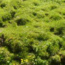 Ausflug in den Bregenzerwald 22_06_2016  _  _ _19_.JPG