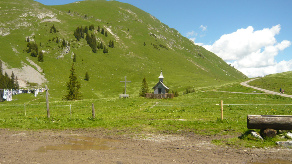 Ausflug in den Bregenzerwald 22_06_2016  _  _ _22_.JPG