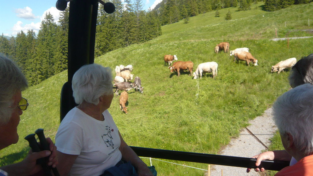 Ausflug in den Bregenzerwald 22_06_2016  _  _ _30_.JPG