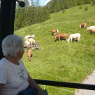 Ausflug in den Bregenzerwald 22_06_2016  _  _ _30_.JPG