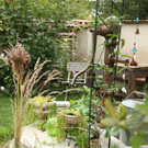Step-by-Step Gardening