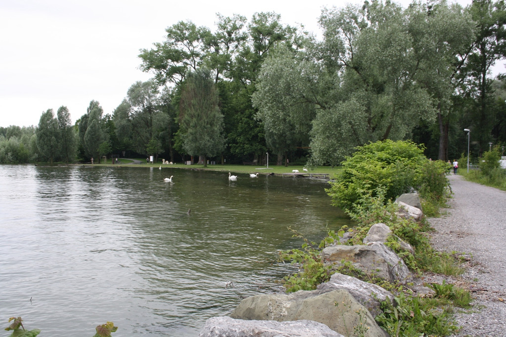 A Hochwasserschutz am See WESTHAFEN 2016 _3_.JPG