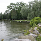 A Hochwasserschutz am See WESTHAFEN 2016 _3_.JPG