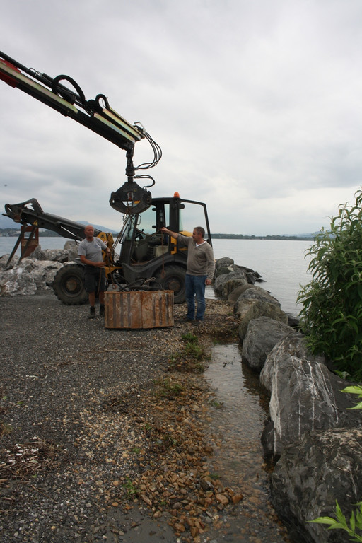 A Hochwasserschutz am See WESTHAFEN 2016 _5_.JPG