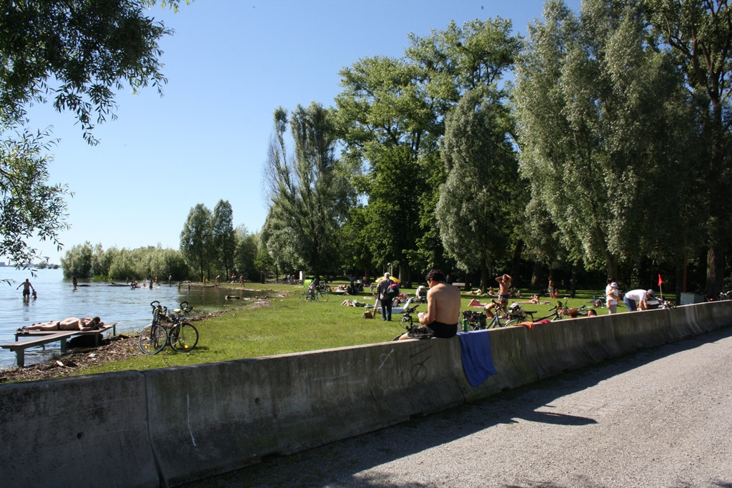 C Hochwasserschutz am See WESTHAFEN 2016 _7_.JPG