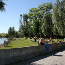 C Hochwasserschutz am See WESTHAFEN 2016 _7_.JPG