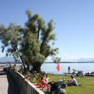 C Hochwasserschutz am See WESTHAFEN 2016 _8_.JPG