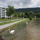 Seehochstand am KAISERSTRAND 20-06-2016 _19_.JPG