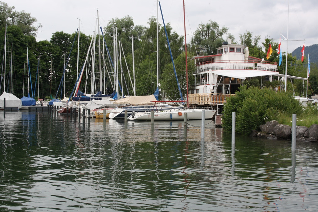 Seehochstand im HAFEN 20-06-2016 _1_.JPG