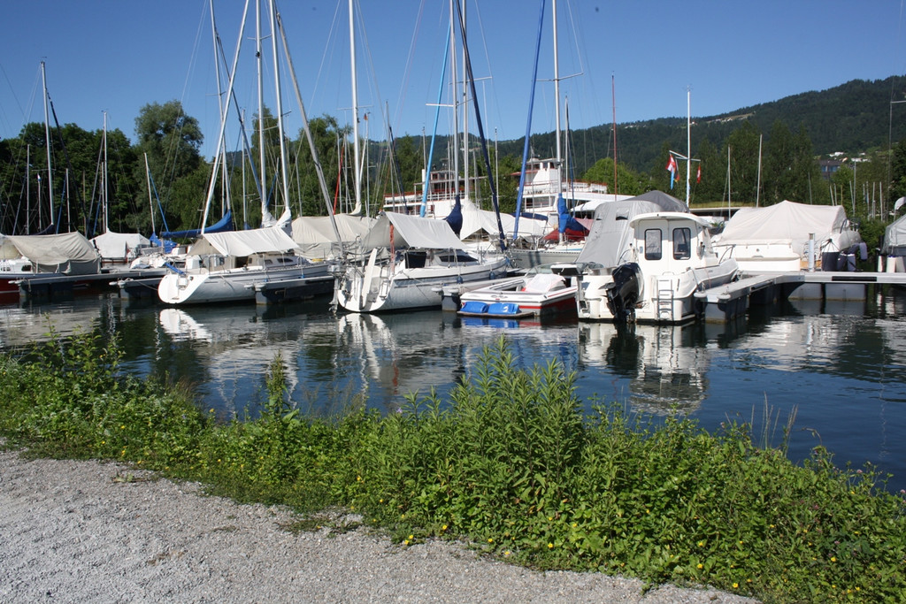 Seehochstand im HAFEN 20-06-2016 _2_.JPG