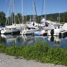 Seehochstand im HAFEN 20-06-2016 _2_.JPG