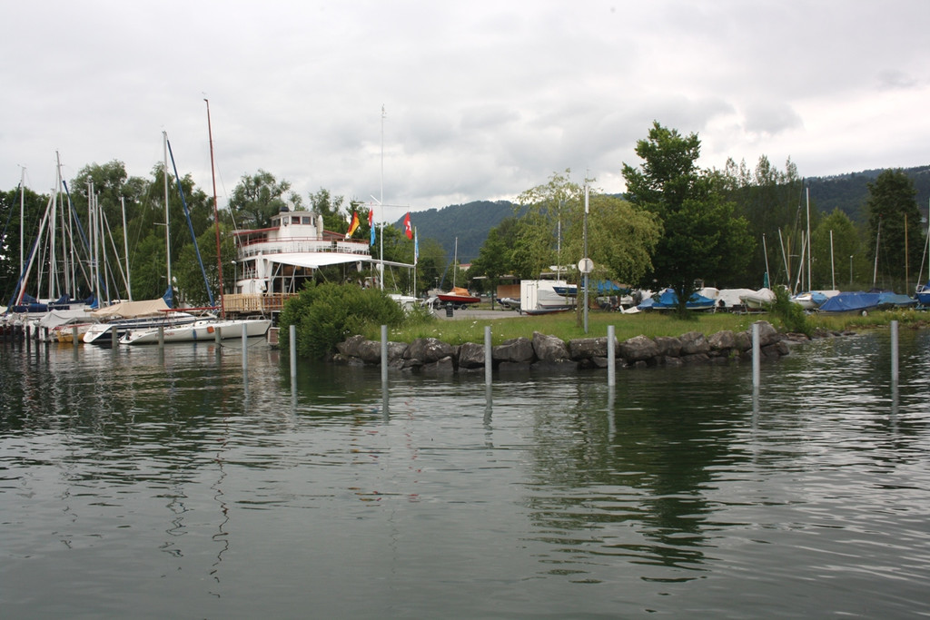 Seehochstand im HAFEN 20-06-2016 _4_.JPG