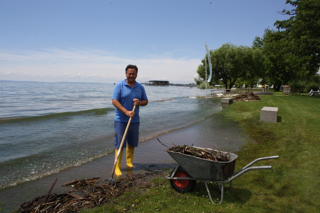 Seehochstand im STRANDBAD 20-06-2016 _1_.JPG