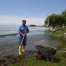 Seehochstand im STRANDBAD 20-06-2016 _1_.JPG