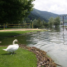 Seehochstand im STRANDBAD 20-06-2016 _10_.JPG