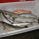 P1010027.JPG