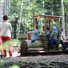 KOE_Wildpark Tierpaten Steinhuehner 10.jpg