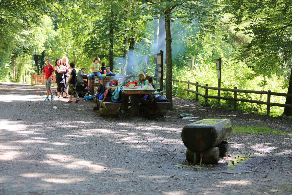 KOE_Wildpark Tierpaten Steinhuehner 11.jpg