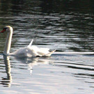 IMG_1231.jpg