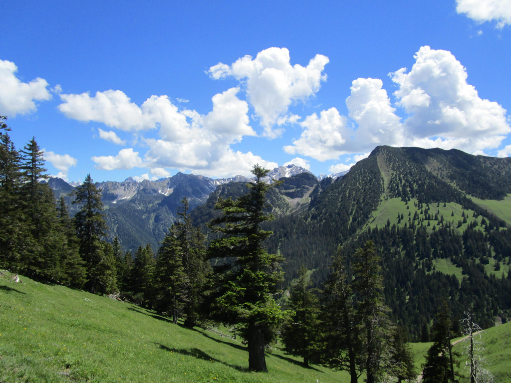 IMG_4978.JPG